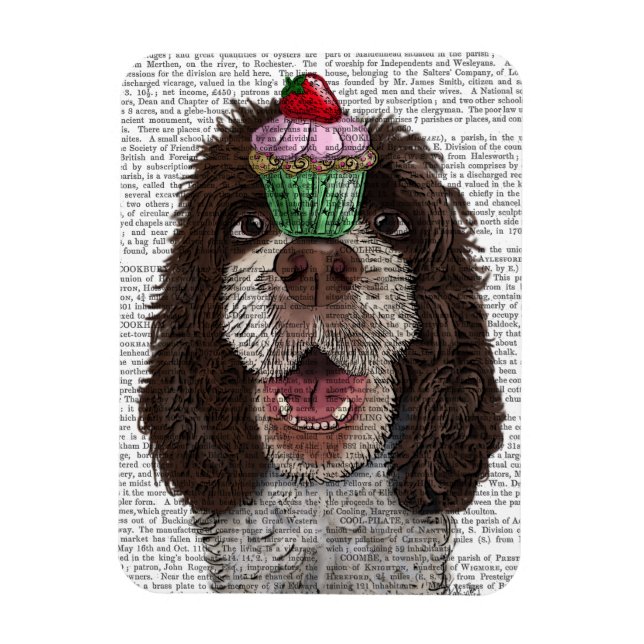 Íman Springer Spaniel com Cupcake (Vertical)