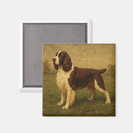 Íman Springer Spaniel Inglês
