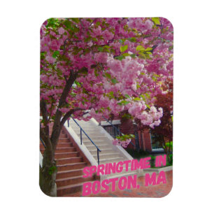Íman Springtime em Boston, MÃES