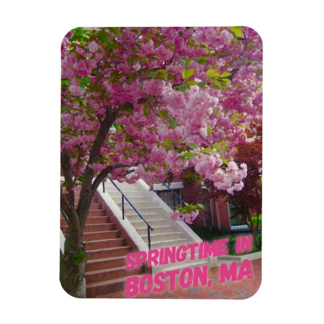 Íman Springtime em Boston, MÃES (Vertical)