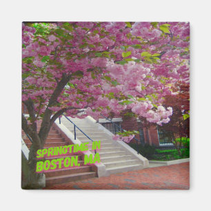 Íman Springtime em Boston, MÃES