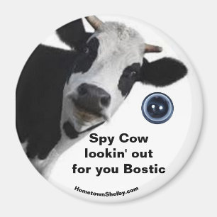 Íman Spy Cow está procurando por seu magneta bóstico