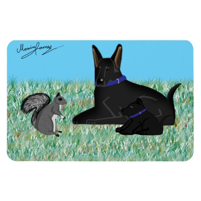 Íman Sr. Esquilo - Conversação Escamoteada (Horizontal)