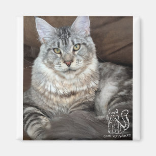 Íman Sr. Filhote de cachorro-Meias Ímã #4