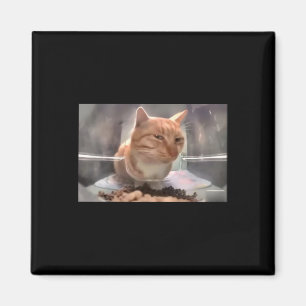 Íman Sr. Gato Fresco Do Lado Do Gato