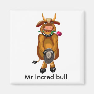 Íman Sr. Incredibull