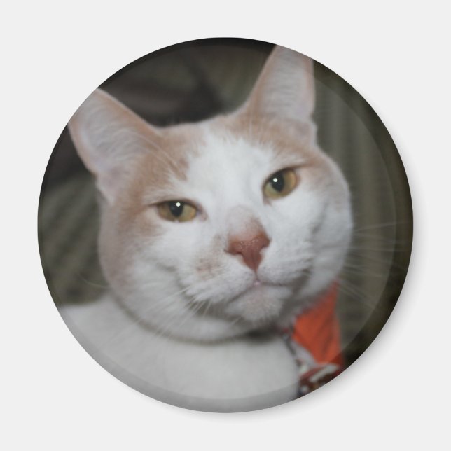 Íman Sr. Peabody! (Frente)