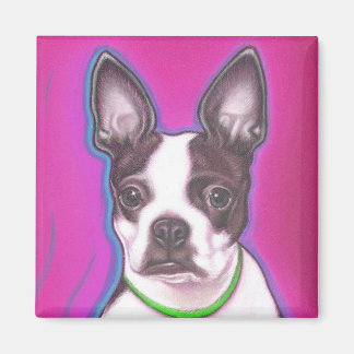 Íman Sr. Pickles, o imã