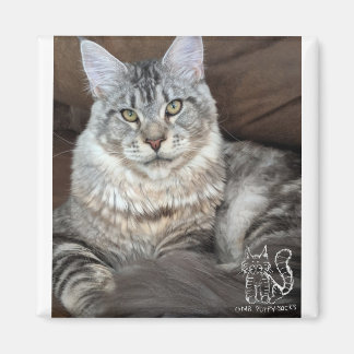 Íman Sr. Puppy-Meias Magnet nº 4