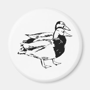 Íman Sr. & Sra. Pato