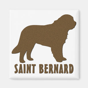 Íman St Bernard