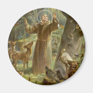 Íman St Francis de Assisi que Preaching aos animais