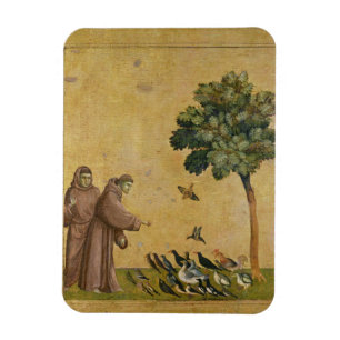 Íman St Francis de Assisi que preaching aos pássaros