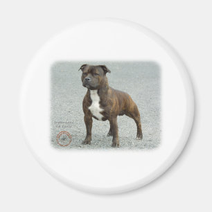 Íman Staffordshire bull terrier