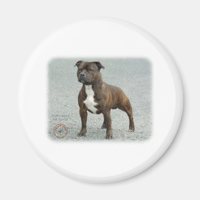 Íman Staffordshire Bull Terrier (Frente)