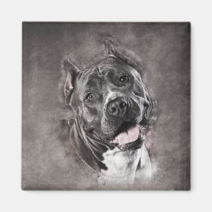 Íman Staffordshire Terrier americano - Amstaff