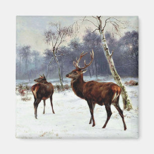 Íman Stag and Doe em um Paisagem de Neve