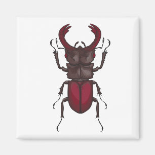 Íman Stag beetle
