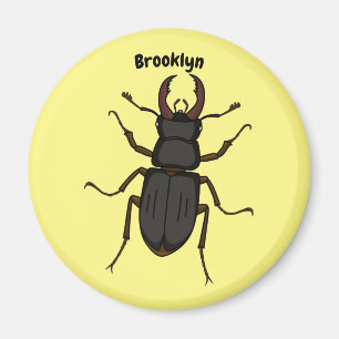 Íman Stag beetle insect illustration