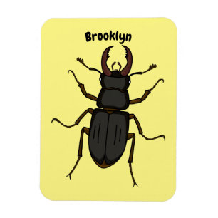 Íman Stag beetle insect illustration