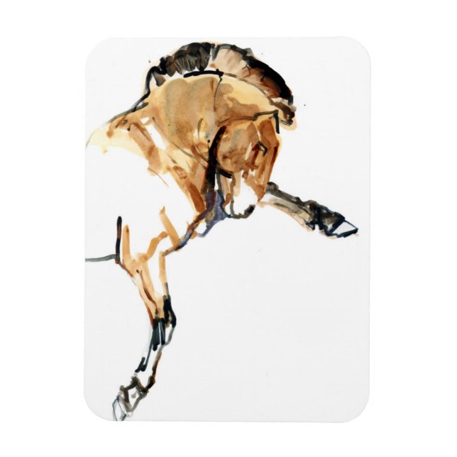 Íman Stallion (Vertical)