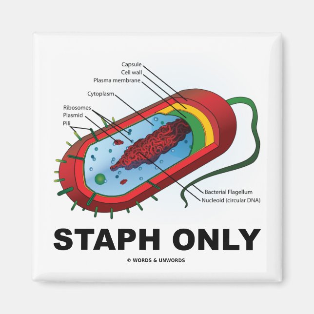 Íman Staph Somente (Humor com Medicina Sanitária Prokar (Frente)