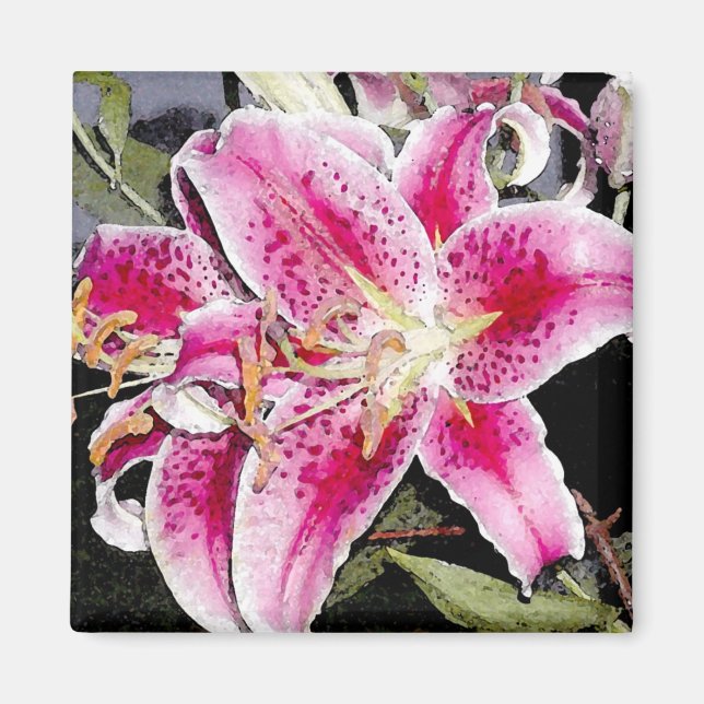Íman Star Gazer Lily Art Magnet (Frente)