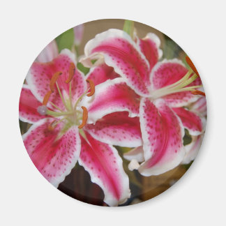 Íman Star Gazer Lily Round Magnet