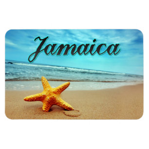Íman starfish da Jamaica