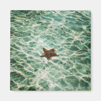 Íman Starfish Island Magnet