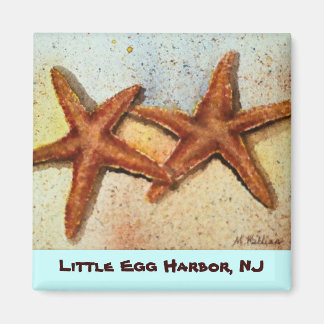 Íman Starfish, Little Egg Harbor, imã NJ