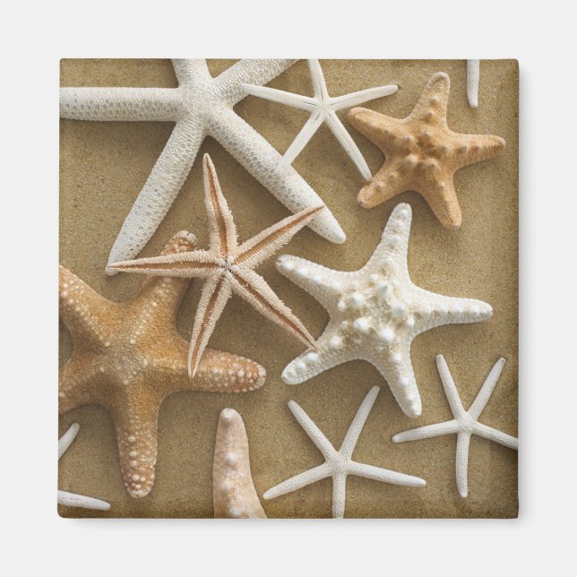 Íman Starfish Na Areia (Frente)