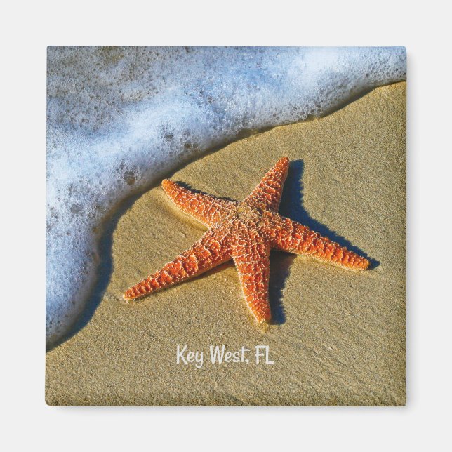 Íman Starfish, na praia em Key West, Flórida, (Frente)