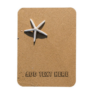 Íman Starfish na praia Sandy