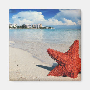 Íman Starfish, Nassau, Bahamas