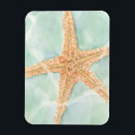 Íman Starfish náutico na água<br><div class="desc">Esta pintura de Chariklia Zarris fará você sentir um mundo de diferença toda vez que você olha para ela. Você pode se imaginar na praia caçando estrelas-do-mar ou brincando na areia. A imagem de Zarris é perfeita para aqueles que amam a vida marinha e querem levá-la para onde quer que...</div>