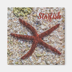 Íman Starfish Ocean Vintage Beach Retro Souvenir