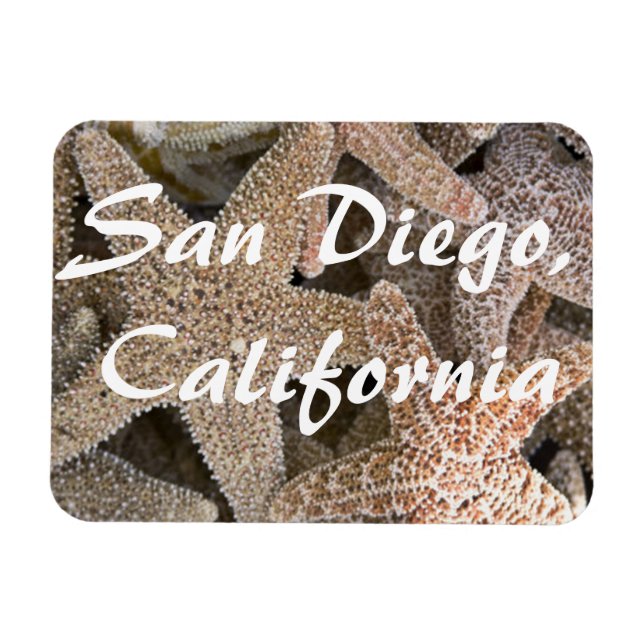 Íman Starfish por todo o lado, San Diego, Califórnia (Horizontal)