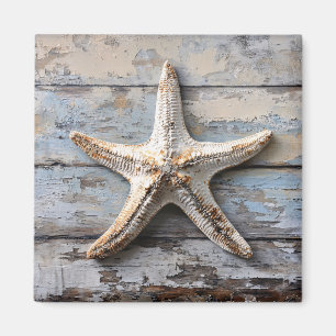 Íman Starfish Russo na Madeira Atacada