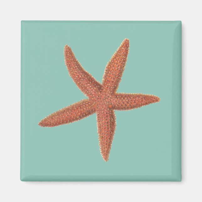 Íman Starfish - Sherman Denton Fish Lithograph (Frente)