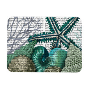 Íman Starfish Sob O Mar