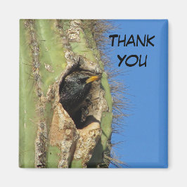 Íman Starling em Saguaro Cactus Foto do Pássaro Sudoest