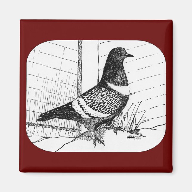 Íman Starling Pigeon 1973 (Frente)