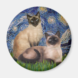 Íman Starry Night - Dois Gatos Siameses (Choc Pt)