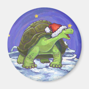 Íman Starry Night Tortoise Natal