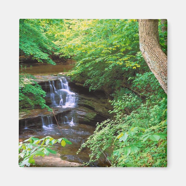 Íman Starved Rock Park (Frente)