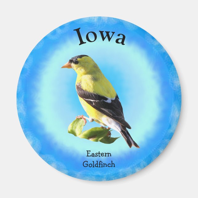 Íman State Bird de Iowa (Frente)