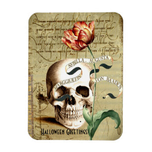 Íman Steampunk Skull Floral Escrevendo Halloween