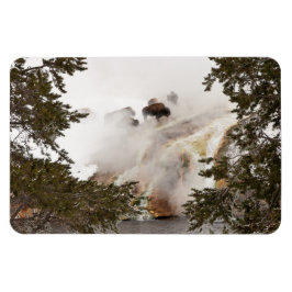 Íman Steamy Bison no Parque Nacional de Yellowstone