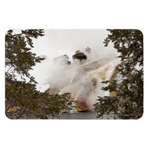 Íman Steamy Bison no Parque Nacional de Yellowstone